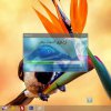 نرم افزارمدیریت کتابخانه