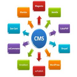 طراحی سایت با cms
