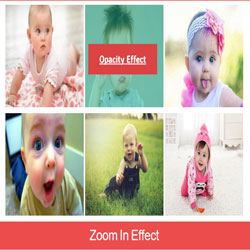   dc simple image hover  افکت گذاری روی تصاویر